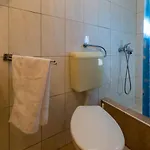 Stipe נובי ווינודולסקי