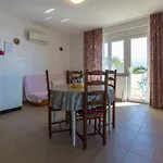 Stipe נובי ווינודולסקי