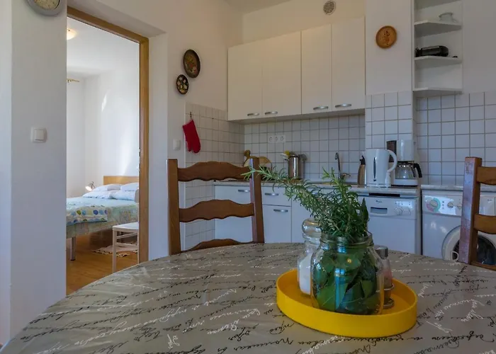 Stipe * נובי ווינודולסקי